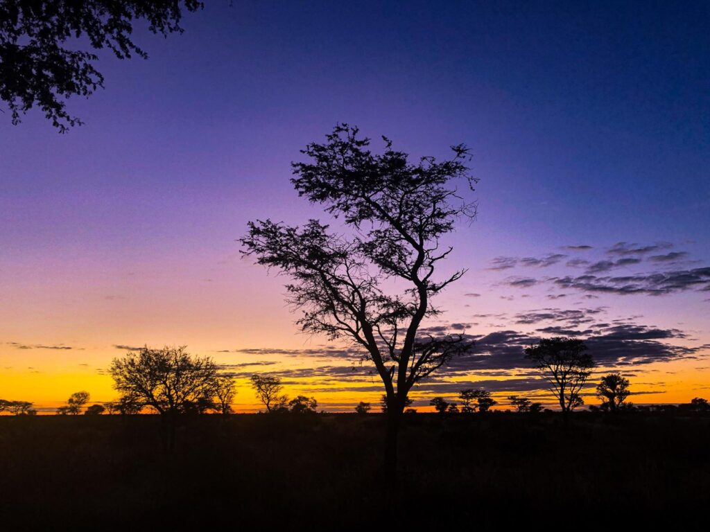 Namaqualand 4x4 Eco Trail - Abenteuer für die Seele