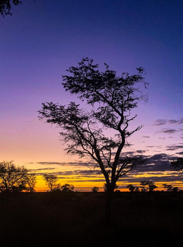 Namaqualand 4x4 Eco Trail - Abenteuer für die Seele