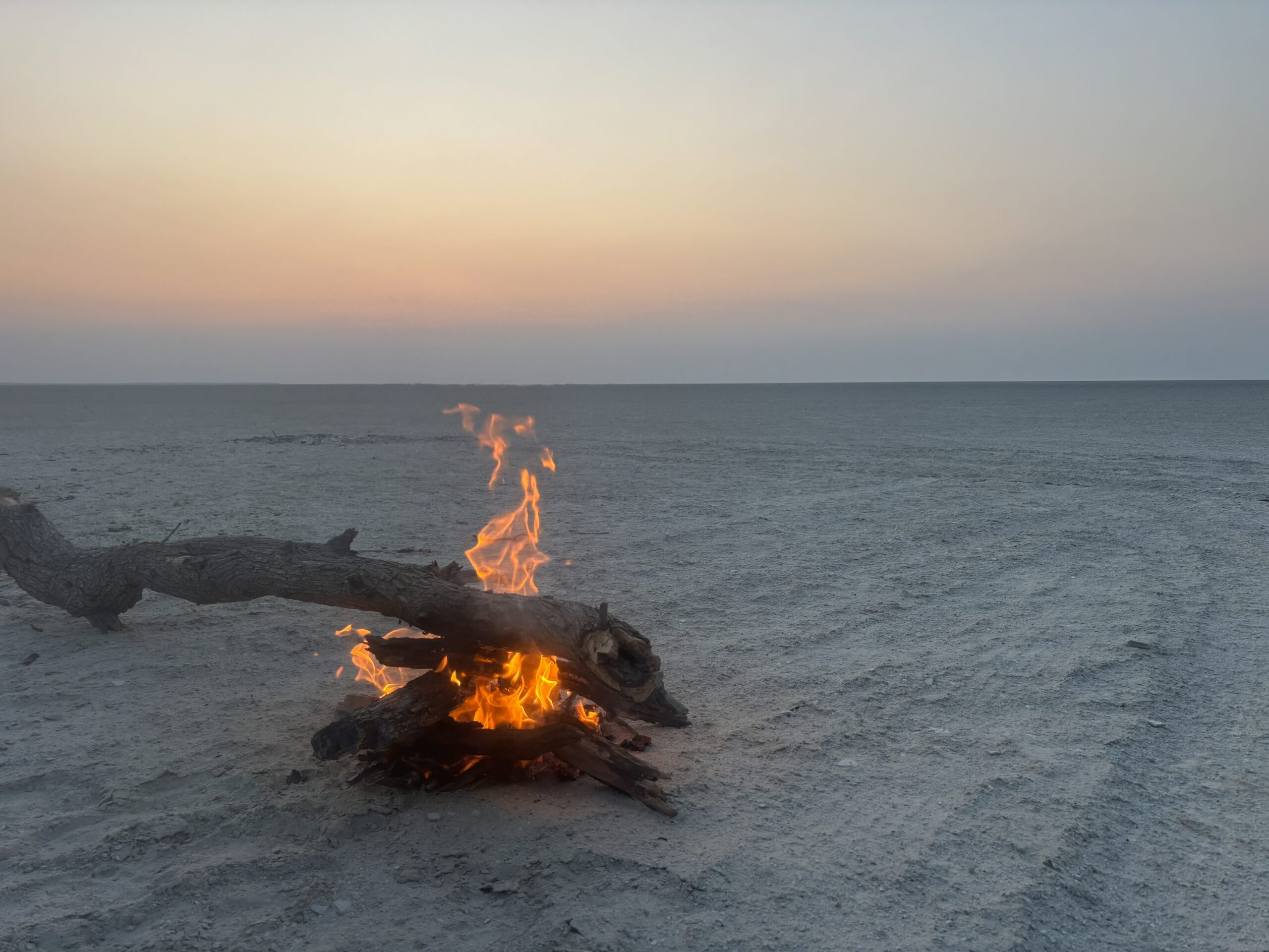 Die Makgadikgadi Pans