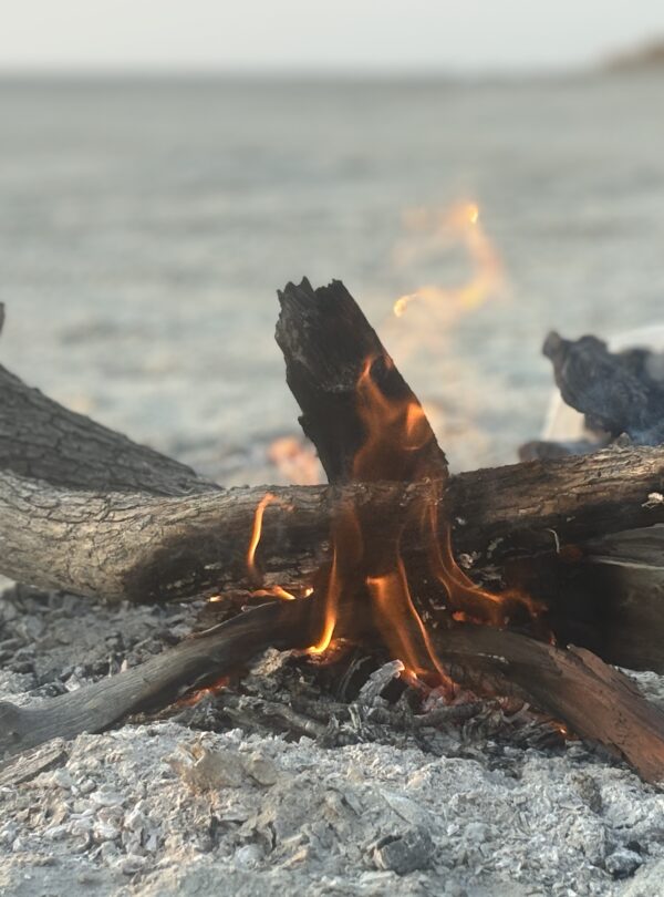 Die Makgadikgadi Pans