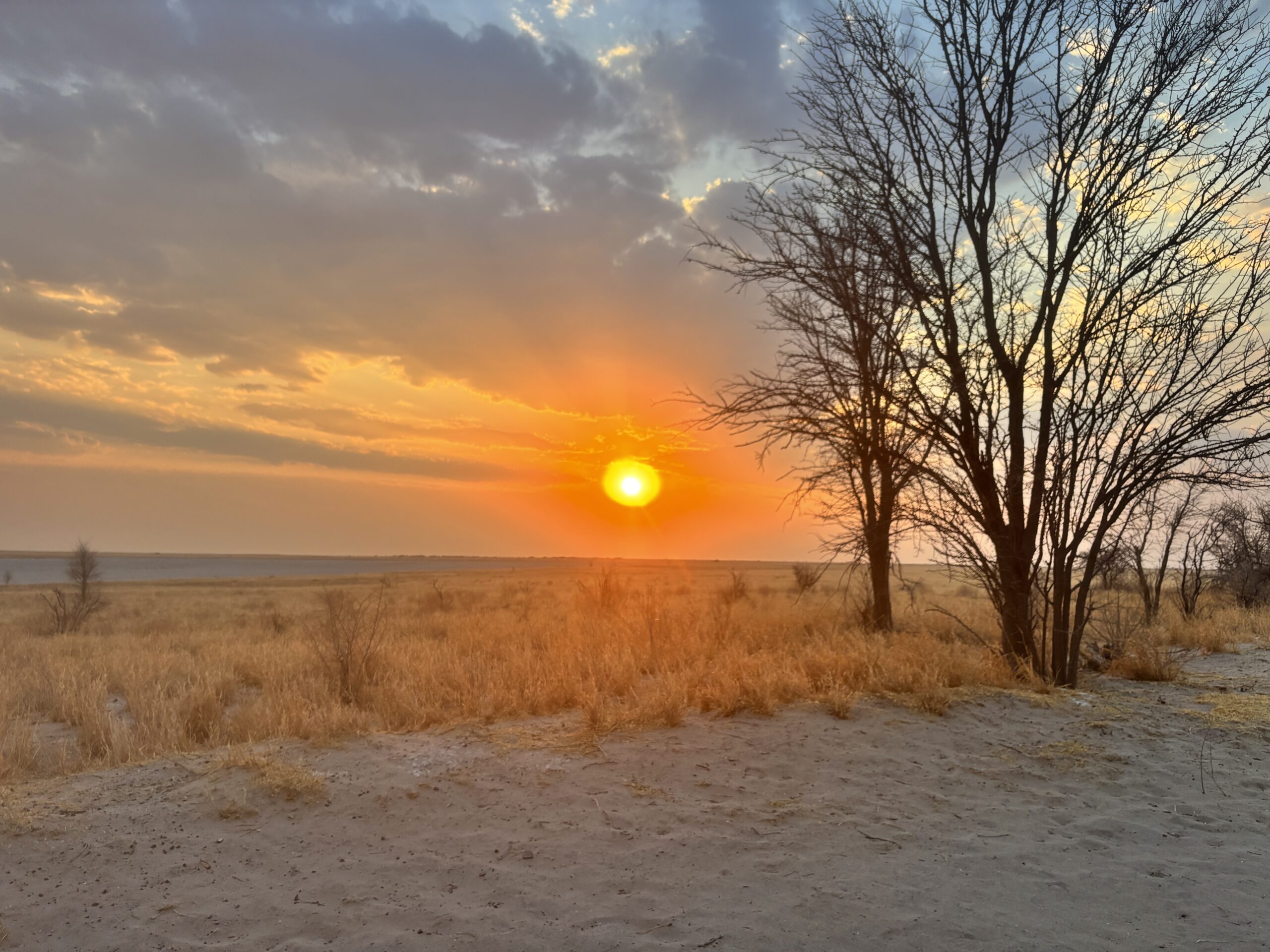 Die Makgadikgadi Pans