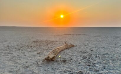 Die Makgadikgadi Pans