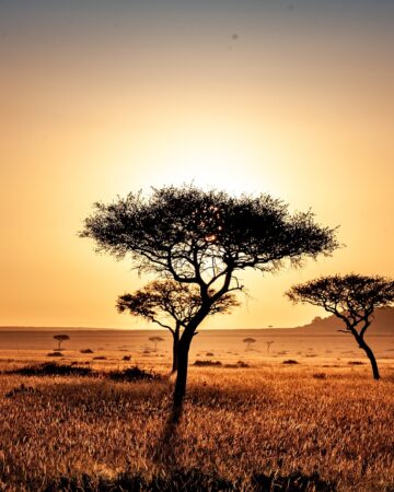 Geschichten, Emotionen & Du